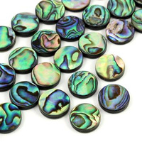 Muszla paua moneta 15mm