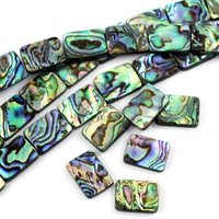 Muszla paua prostokąt 18x13mm