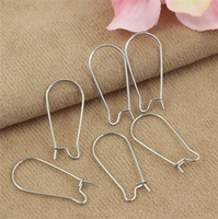 Bigle zamknięte stal szlachetna 25mm [para]