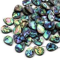 Muszla paua łezka 18x13mm [wzdłuż]