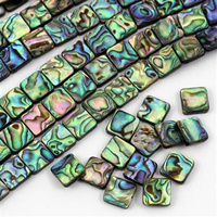 Muszla paua kwadrat 12mm