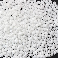 Dragon Scale Chalk White 5mm [5g]