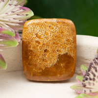 Kaboszon fossil 30x26x5mm