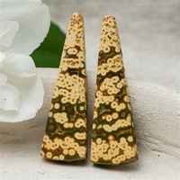 Kaboszony jaspis orbikularny 39x12x4mm [para]