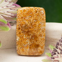 Kaboszon fossil 31x18x4mm